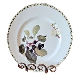 Queen's The Royal Horticultural Society~8 1/2" Hookers Fruit Plate~Hooker Fruit